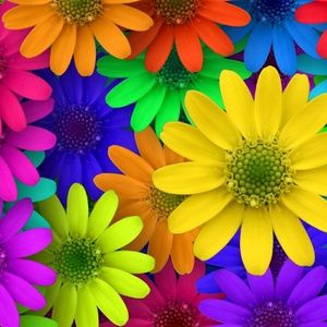 Meet your Posher, Patricia